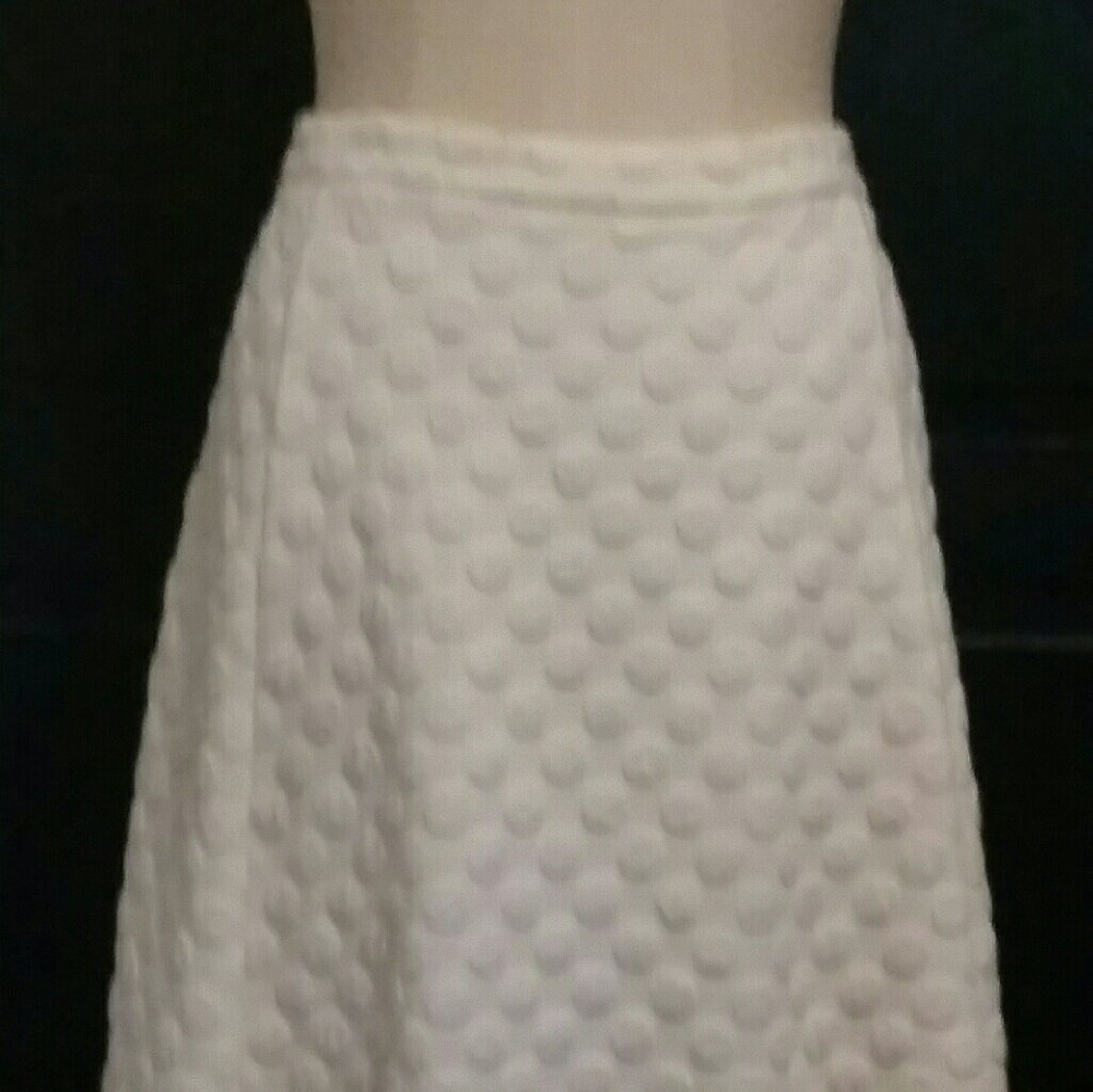 Winter weight HD in Paris Midi Skirt | Anthro